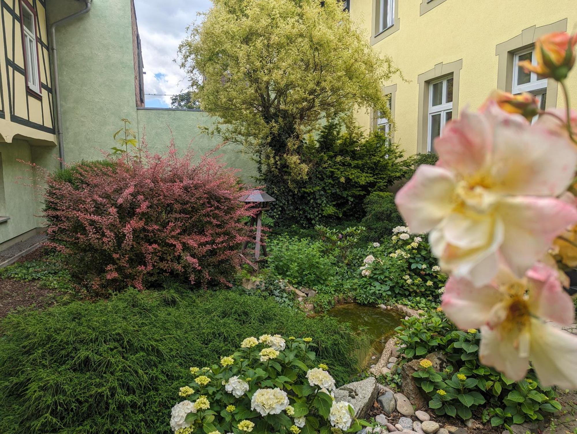 Ferienwohnungen An Der Bimmelbahn Wernigerode Exteriör bild
